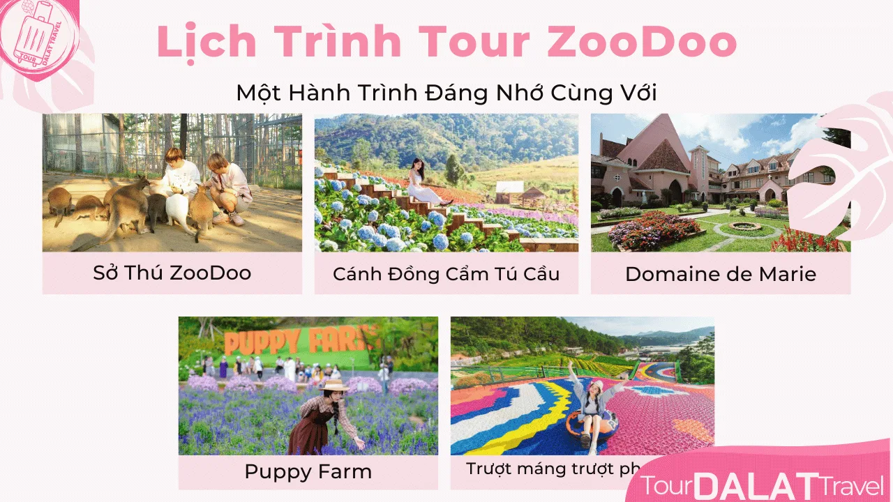 Tour 1 Ngày Đà Lạt-ZooDoo