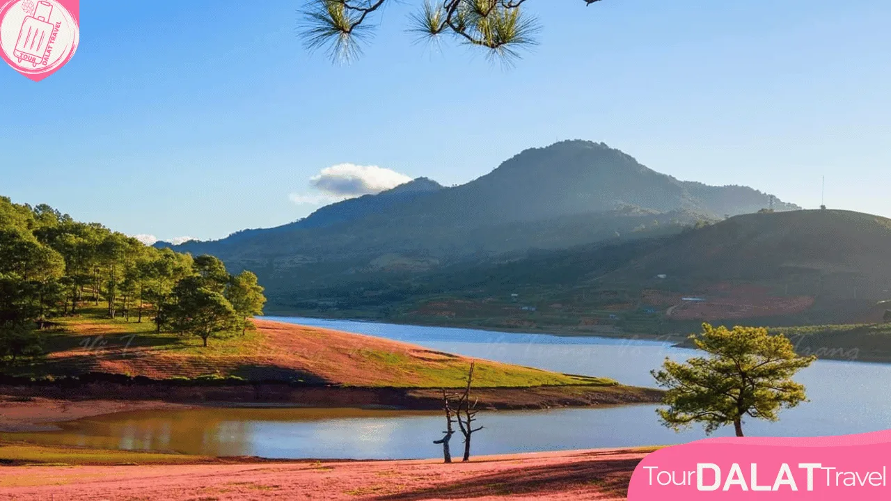 Đồi cỏ hồng Thung Lũng Vàng