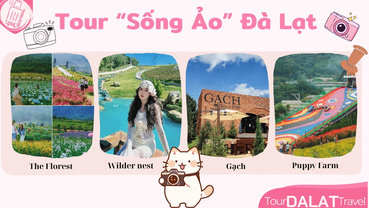 Tour Đà Lạt 1 Ngày - Tour sống ảo