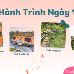 Tour Đà Lạt 3 Ngày 2 Đêm-Ngày 1