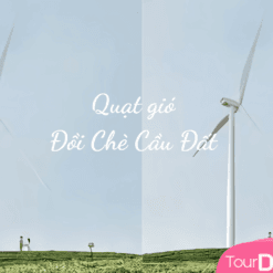 Quạt gió Đồi chè Cầu Đất