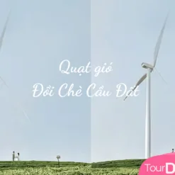 Quạt gió Đồi chè Cầu Đất