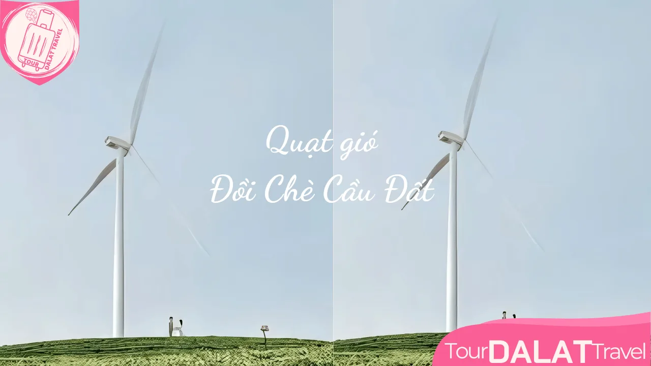 Quạt gió Đồi chè Cầu Đất