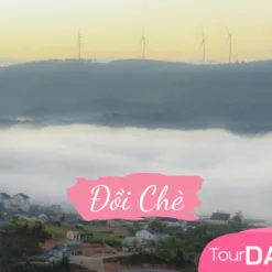 Săn Mây Đồi Chè Cầu Đất