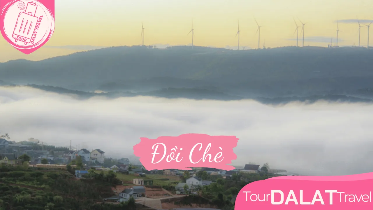 Săn Mây Đồi Chè Cầu Đất