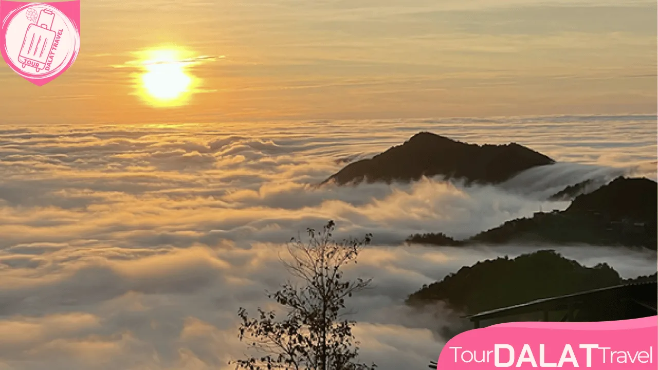 Săn mây Đà Lạt