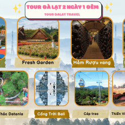 Tour Đà Lạt 2 Ngày 1 Đêm