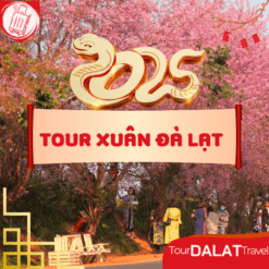 Tour Tết Đà Lạt