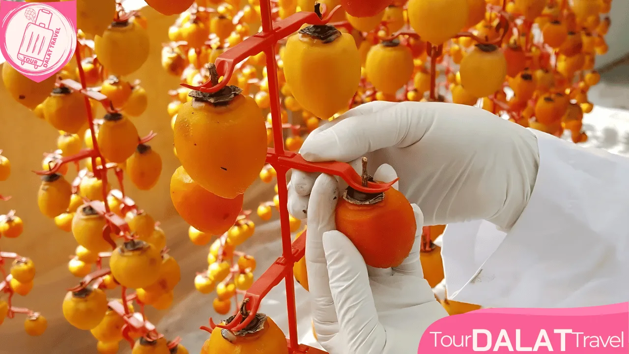 Vườn hồng treo gió- Săn mây đà Lạt