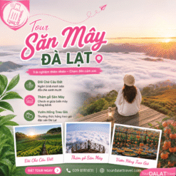 tour săn mây đà lạt (2)