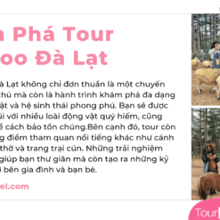 Khám Phá Tour Zoodoo Đà Lạt