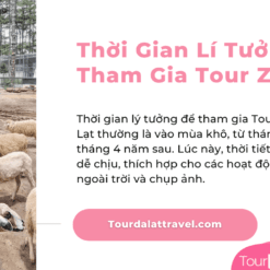Thời Gian Tour Zoodoo Đà Lạt