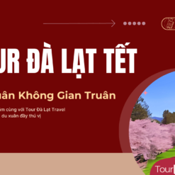 Tour Đà Lạt Tết