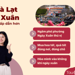 Tour Đà Lạt Tết-Chợ Đà Lạt Tết