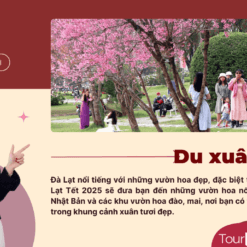 Tour Đà Lạt Tết-Du xuân