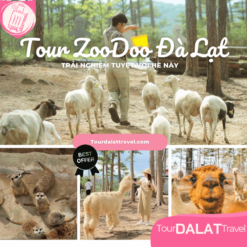 Tour ZooDoo Đà Lạt