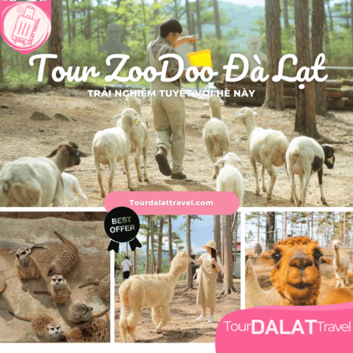 Tour ZooDoo Đà Lạt