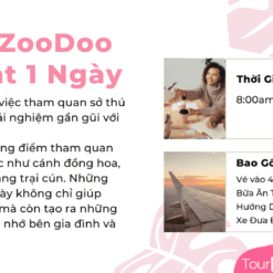 Tour Zoodoo Đà Lạt-Chính Sách