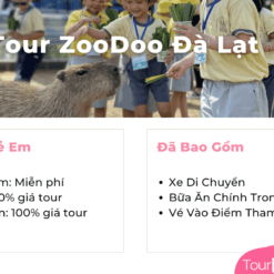 Tour Zoodoo Đà Lạt-Giá Vé