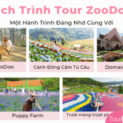 Tour Zoodoo Đà Lạt-Lịch Trình