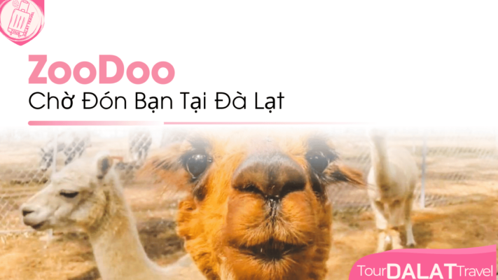 ZooDoo Đà Lạt.
