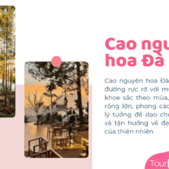 Tour Đà Lạt 4 Ngày 3 Đêm-Cao Nguyên Hoa