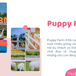 Tour Đà Lạt 4 Ngày 3 Đêm-Puppy Farm