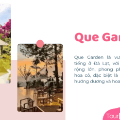 Tour Đà Lạt 4 Ngày 3 Đêm-Que Garden