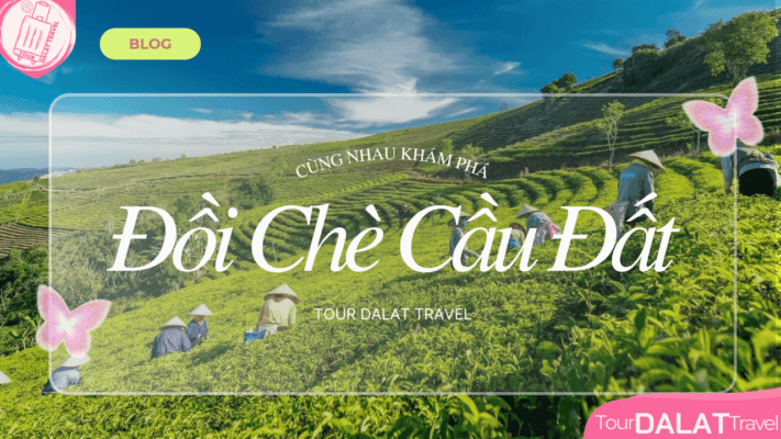 Đồi chè Cầu Đất