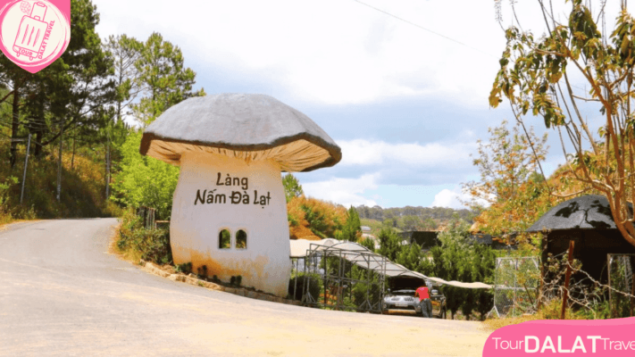 Làng nấm Đà Lạt