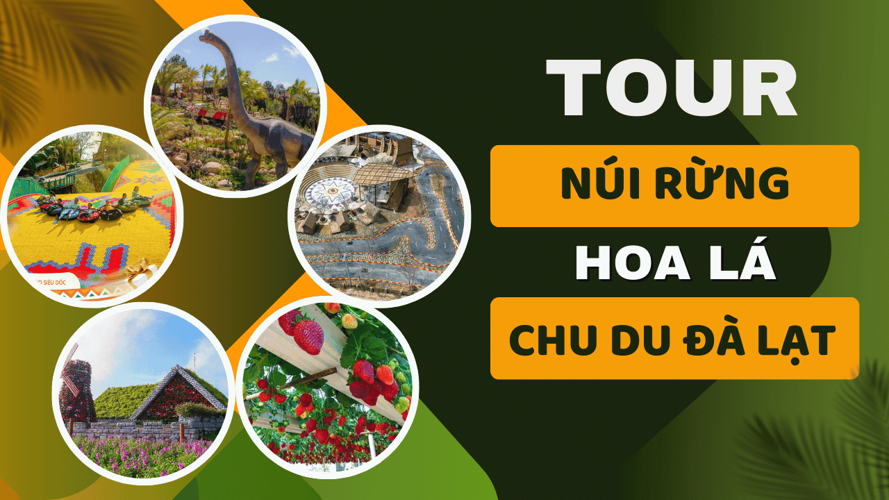 Tour Đà Lạt 1 Ngày-Chu du Đà Lạt
