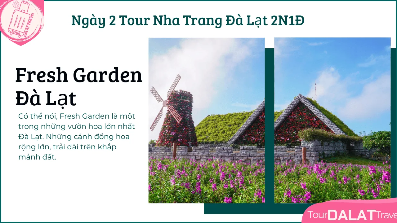 Tour Nha Trang Đà Lạt 2 Ngày 1 Đêm-Fresh garden