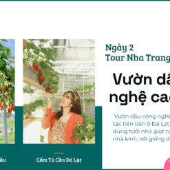 Tour Nha Trang Đà Lạt 2 Ngày 1 Đêm-Vườn Dâu