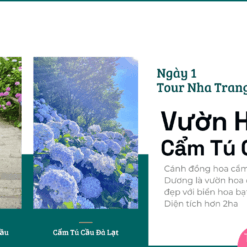 Tour Nha Trang Đà Lạt 2 Ngày 1 Đêm-Vườn Hoa Cẩm Tú Cầu