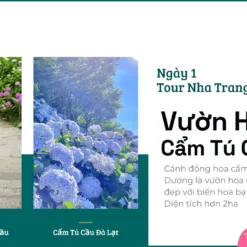 Tour Nha Trang Đà Lạt 2 Ngày 1 Đêm-Vườn Hoa Cẩm Tú Cầu