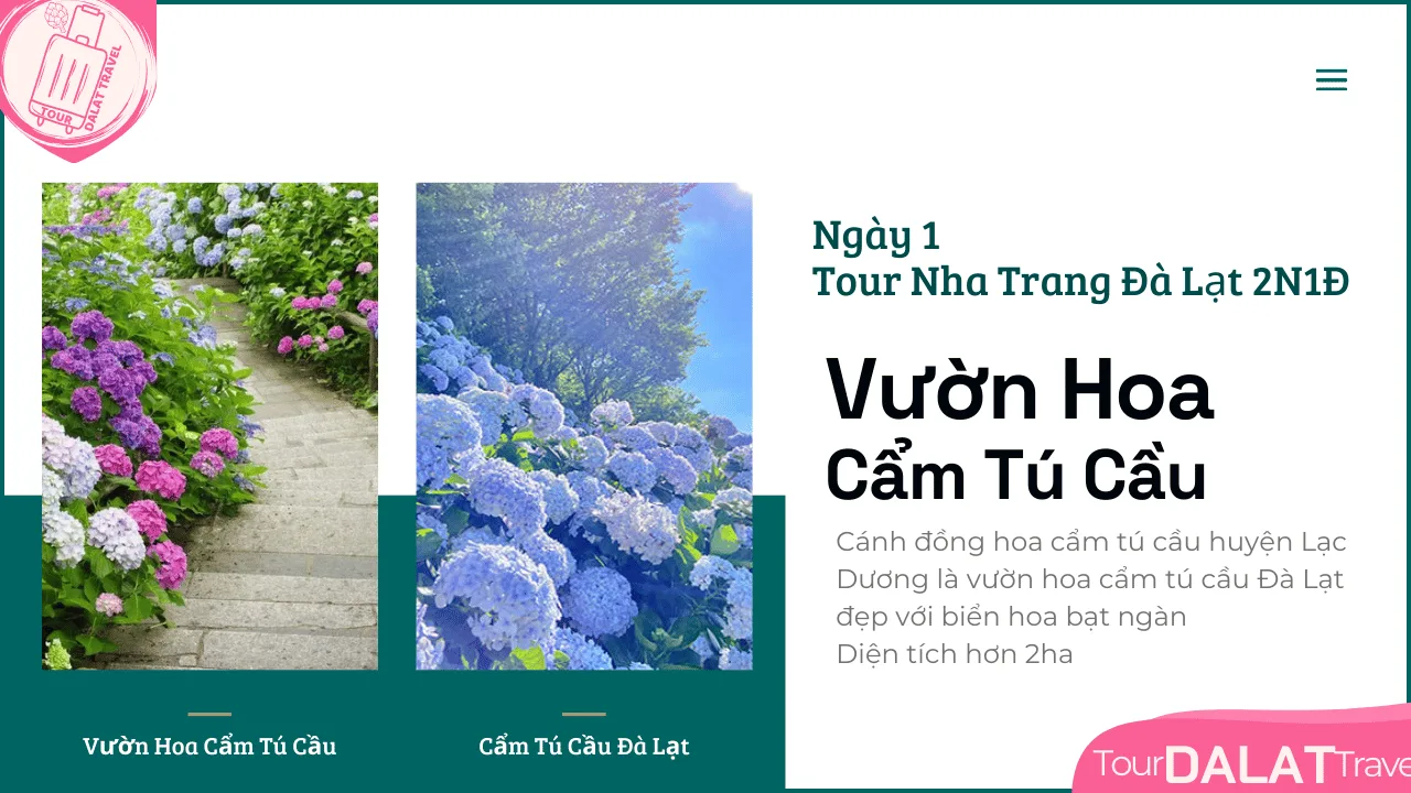 Tour Nha Trang Đà Lạt 2 Ngày 1 Đêm-Vườn Hoa Cẩm Tú Cầu
