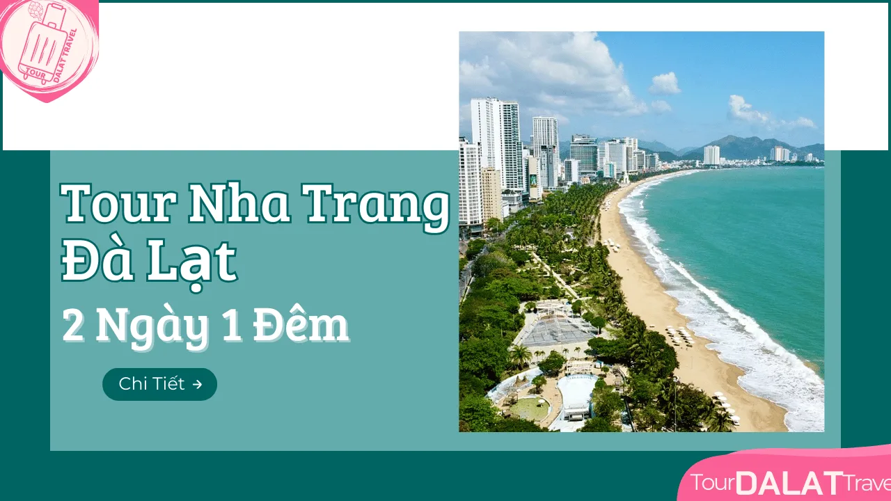 Tour Nha Trang Đà Lạt 2 Ngày 1 Đêm Giá Ưu Đãi 2026 - Ảnh 2