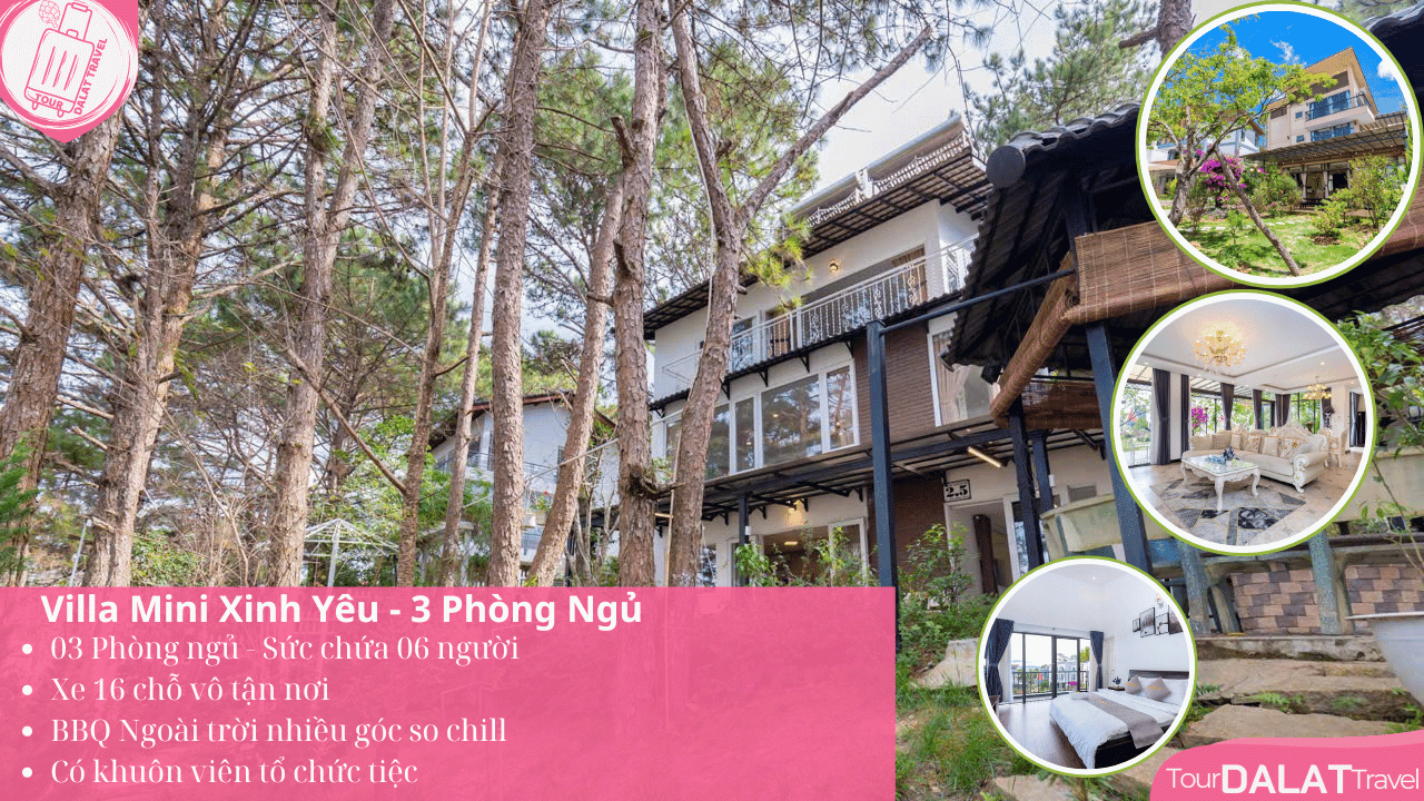 Biệt thự Mini 3 phòng ngủ