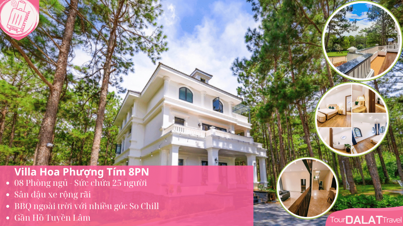 Biệt thự Villa Hoa Phượng Tím 8 Phòng Ngủ
