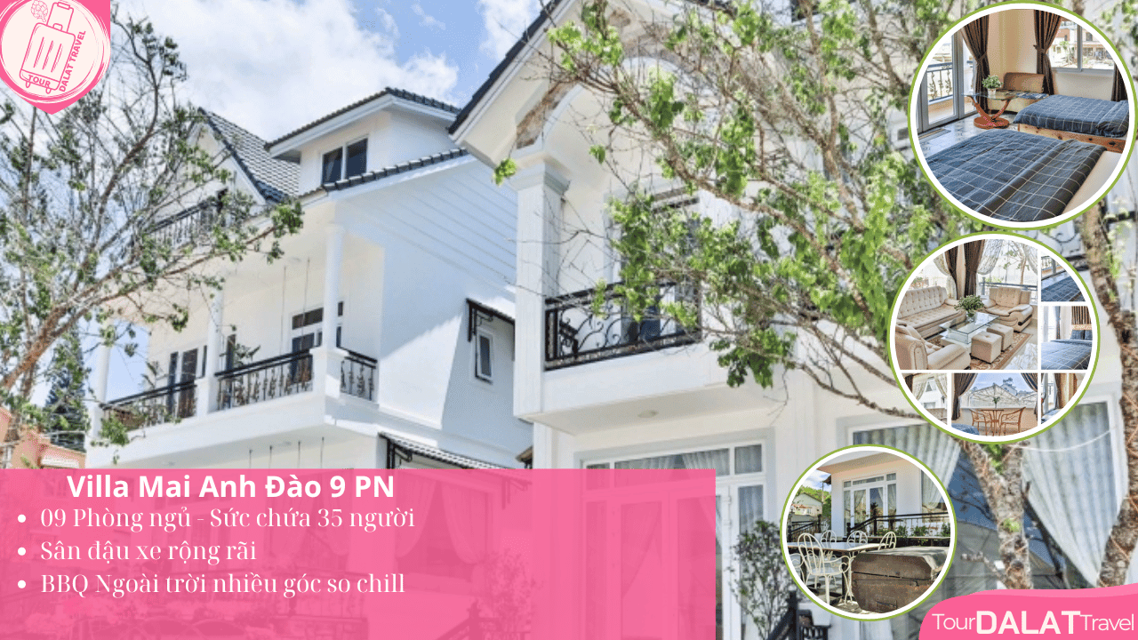 Biệt thự Villa mai Anh Đào 9 Phòng Ngủ