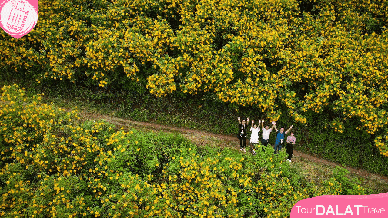 Cao Nguyên Hoa Đà Lạt