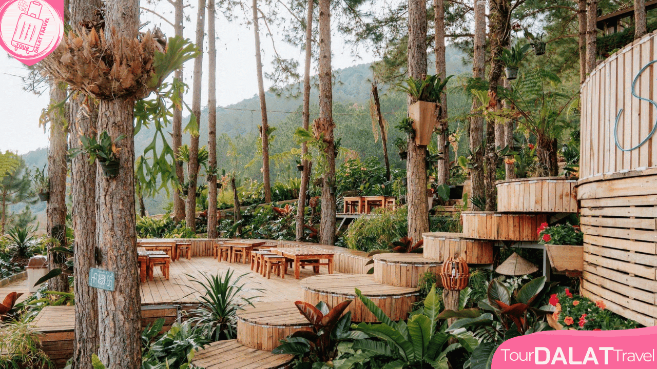 Cao Nguyên Hoa Đà Lạt