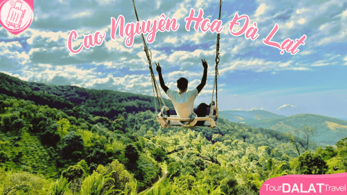 Cao Nguyên Hoa Đà Lạt