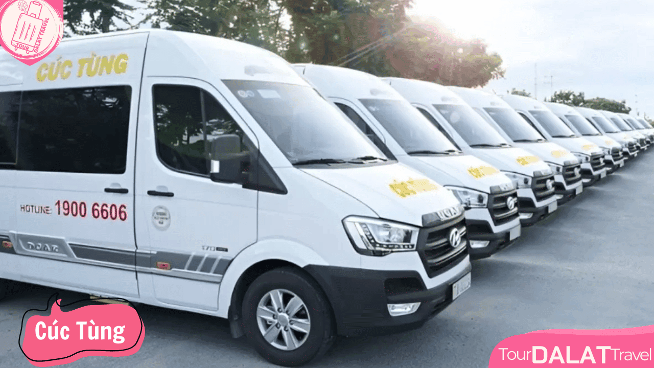 Nhà Xe Cúc Tùng Limousine