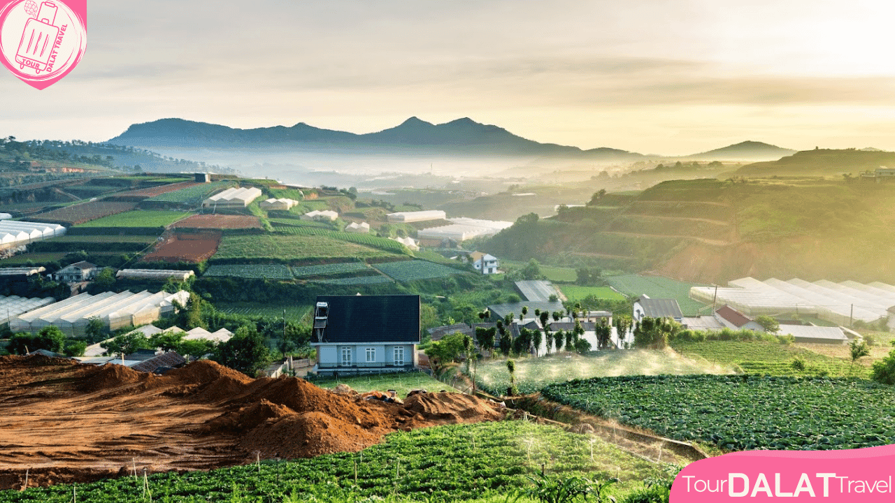 Du Lịch Đà Lạt Tháng 8
