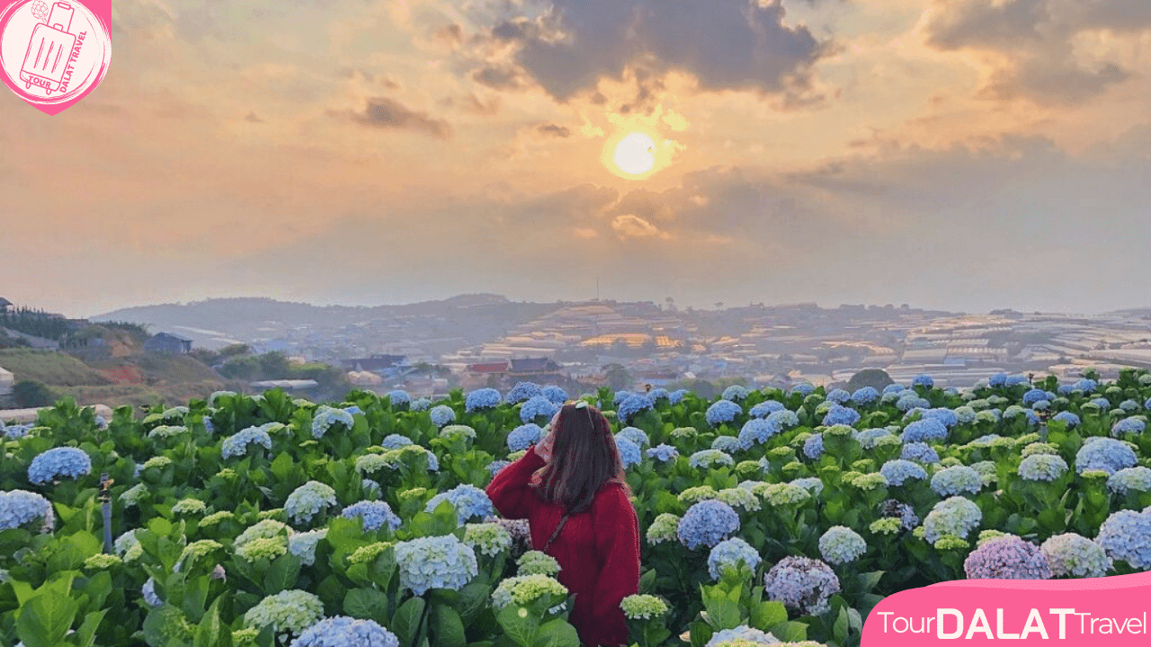 Du lịch Đà Lạt tháng 8