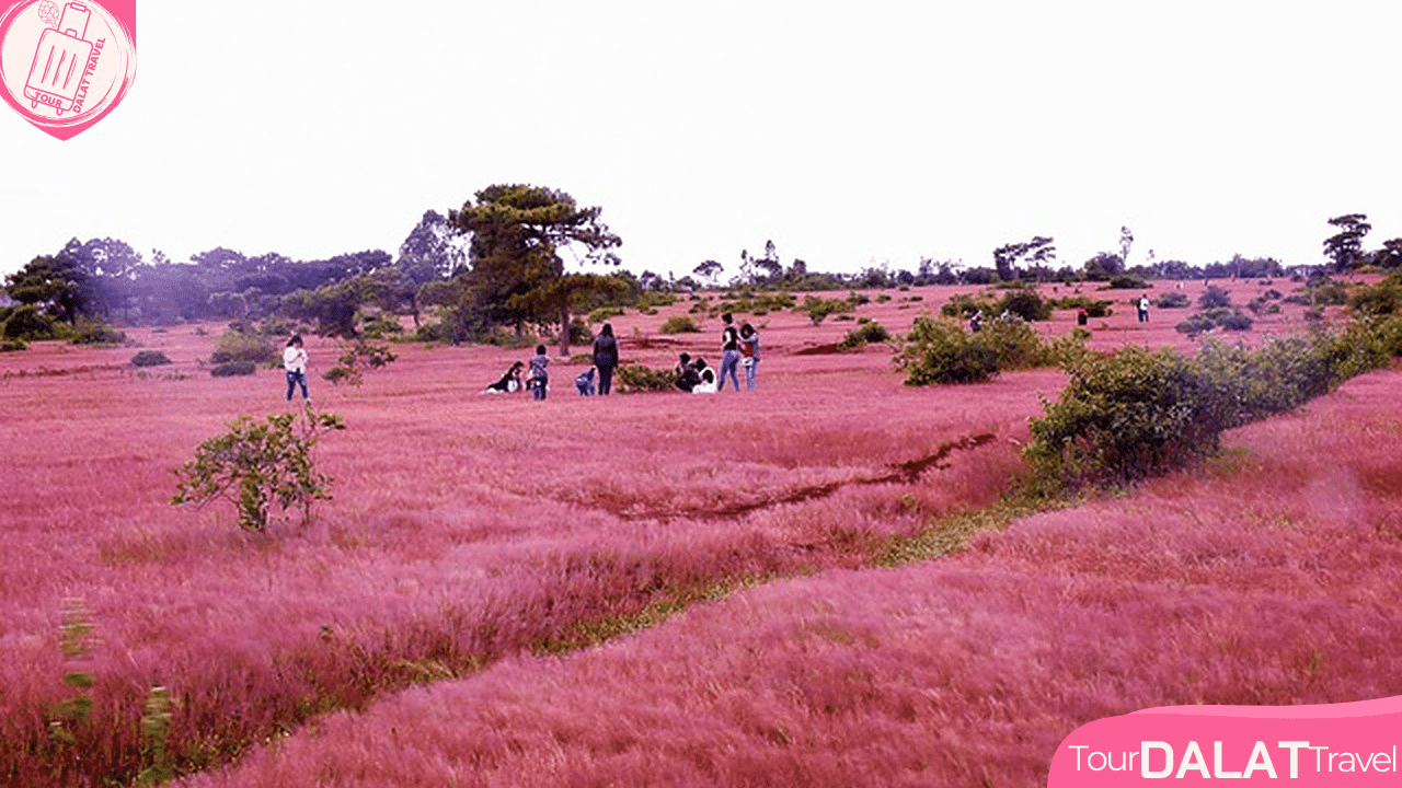 Thời tiết Đà Lạt tháng 10