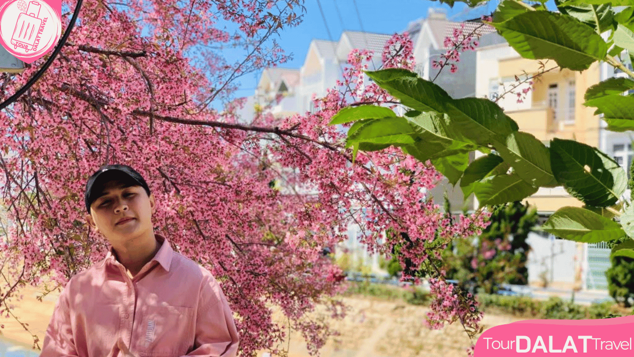 Thời tiết Đà Lạt tháng 1