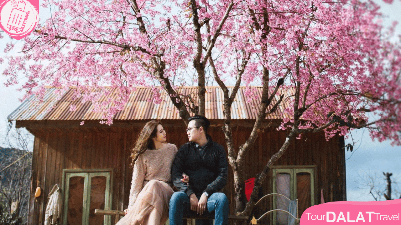 Thời tiết Đà Lạt tháng 2