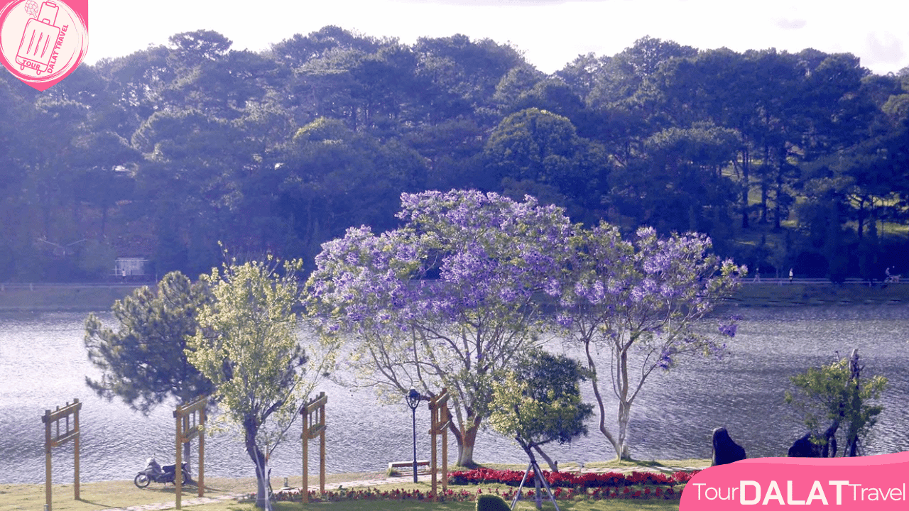 Thời tiết Đà Lạt tháng 3